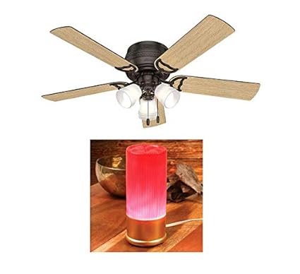 Hunter 52 Prim Premier Bronze Ceiling Fan With Light Amazon Com