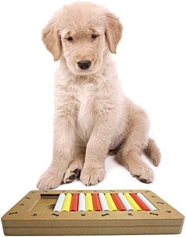 Singyep Interactive Food Treated Wooden Chasing Hide and Seek Toys Pet Dog Slow Food Puzzle Training Toy