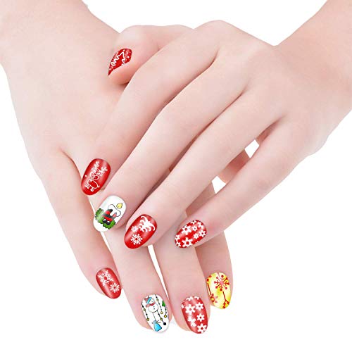 Biutee 15Pcs Nail plate set 13 pcs Nail Plates + 2 Stamper Scraper Sets Nail Art Stamping Plates Nail Stamp Plate Nail Art Tools