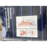 Illustrated Essentials Of Musculoskeletal Anatomy Sieg Kay W 9780935157079 Books