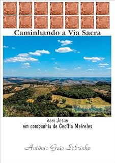 Livro Caminhando a Via Sacra: Com Jesus em Companhia de Cecília Meireles