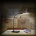 Aglaia Desk Lamp, Dimmable panel lights Eye-Care Table Light with 1-Hour Timer, 6-Level Dimmer, Touch Controland Flexible Neck 7W (Black)