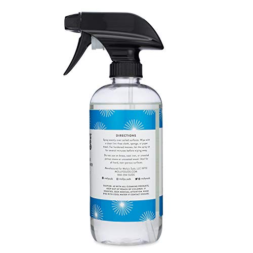 New Molly's Suds Natural All Purpose Cleaner, Multi Surface Household Spray, Peppermint Scent, 16 oz (2 Pack)