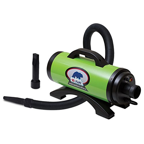 Click Here to See More Images Grizzly B-Air, Pro Series II Dryer, Green