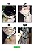 WAAAG Pet Supplies, (Tropical Pineapple) Cat Collar, Dog Collar, Cat Leash, Dog Leash, Small Dog Collar, Medium Dog Collar, Large Dog Collar (Pet Collar, XS)