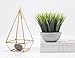 Velener Farmhouse Fake Grass Artificial Plants for Home Decor Indoor Tabletop Plant Book Shelf Small Desk Office