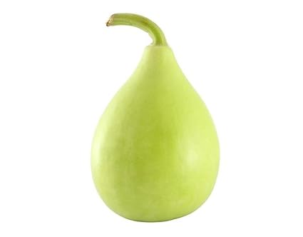 AllThatGrows Bottle Gourd Bulb Seeds, GMO Free, Non-Hybrid Lauki Vegetable Seeds - 20 Seeds