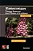Plantes toxiques (French Edition) by