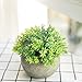 THE BLOOM TIMES 2 Pcs Fake Plants for Bathroom/Home Office Decor, Small Artificial Faux Greenery for House Decorations (Potted Plants)