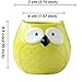 Everyday Better Life 6 PCS Set Cute Animal Owl Shaped Cartoon Home Garden Decoration Succulent Cactus Flower Pot/Plant Pots/Planter/Container
