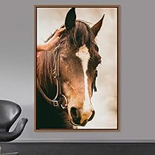 signwin Framed Canvas Wall Art Horse Animals Dramatic Farmhouse/Country Horse Living Room Multicolor Photography - 24x36 inches