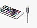 GOLDEN-NOOB Cable 8Pin to USB 10' Nylon Braided Popular Lightning Cable, Charging Cable Cord with Aluminum Heads for iPhone 7/7Plus/6/6S/6 Plus/6S Plus/5/5C/5S/Se/iPad/iPod Nano Touch - Gray - 3 Piece