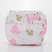 Fairy Baby All in One Printed Cloth Nappy Velcro Fabric Diaper Pack of 4(S/Fit 6.61-13.22lbs,Girl)