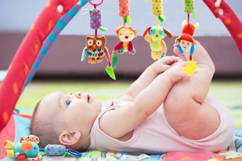 Yawenner Baby Hanging Rattle Toys, 6 Pack Soft Hanging Crinkle Squeaky Sensory Educational Toy for 0 3 6 to 12 Months, Infant Animal Wind Chime with Teethers for Toddlers/Baby Girls/Baby Boys