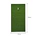Gaoqi Golf Mat Residential Practice Hitting Mat 12''x24'' with Realistic Synthetic Turf Grass, Portable Training Equipment (Free 6 Ball and 1 Tee)