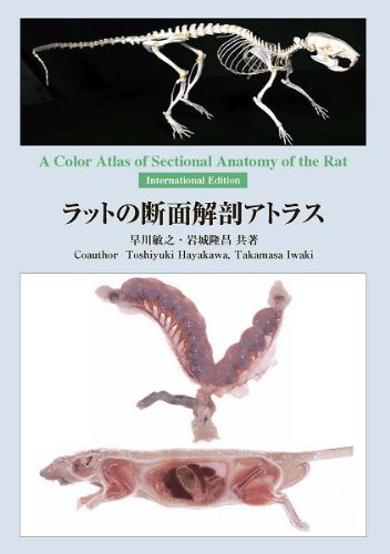 ラットの断面解剖アトラス Acoloratlasofsectinalanat 早川 敏之 岩城 隆昌 本 通販 Amazon