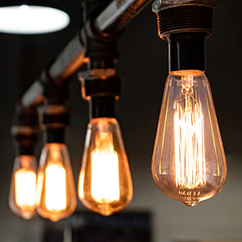 60 Watt Incandescent Edison Light Bulbs, Vintage Dimmable E26 Bulbs