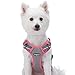 Blueberry Pet 9 Colors Soft & Comfy 3M Reflective Multi-Colored Stripe Mesh Padded No Pull Dog Harness Vest with Back Leash Clips, Medium, Pink, Emerald & Orchid
