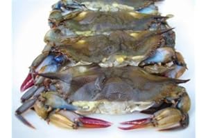 GIOVANNIS FISH MARKET Soft Shell BLUE CRAB (2 DOZEN)