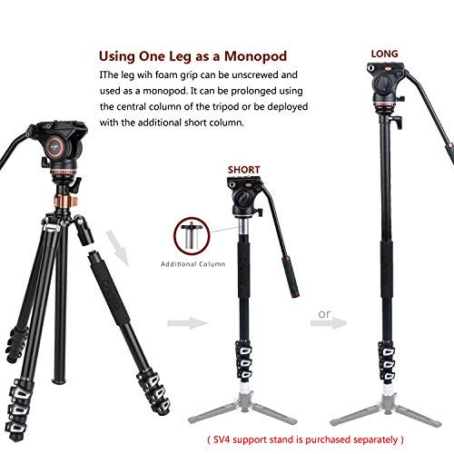 Cayer AF2451 Professional Video Camera Tripod 67 inches with Fluid Drag Head, 4-Section Compact Aluminimum DSLR Tripod Convertible to Monopod for DSLR Camera, Video Camcorder, Plus 1 Extra QR Plate