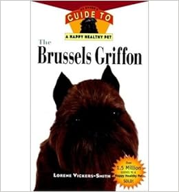 chocolate brussels griffon