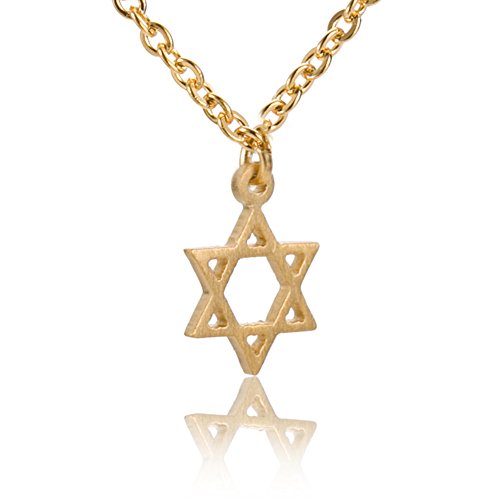 Star David Necklace Pendant Jewelry - Stainless Steel 18k Gold Plated Tiny Charm
