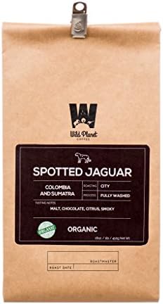 Organic Cold Brew Specialty Coffee Blend (Colombia and Sumatra Organic Blend) 12oz