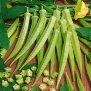 Okra, 2000 seed approximately, 1/4 lb Clemson Spineless by Detwiler Native Seed Company. Guaranteed to ship with the first available carrier