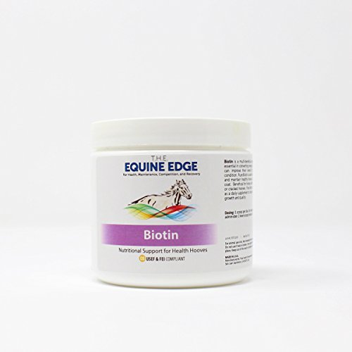 Top 10 Horse Supplements For Shiny Coat of 2020 No Place Called Home