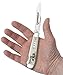 Case White-Tailed Deer Embellished Trapper Pocket Knife