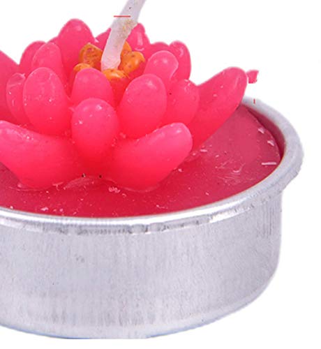 WWWL Creatieve kaars 2 stks Creatieve 3D Cactus Kaarsen Gesimuleerde Planten Rookloze Geurende Valentijnsdag Gift Party… - Image 6