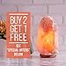 Natural Himalayan Salt Lamp with Bulb, Dimmer Cord