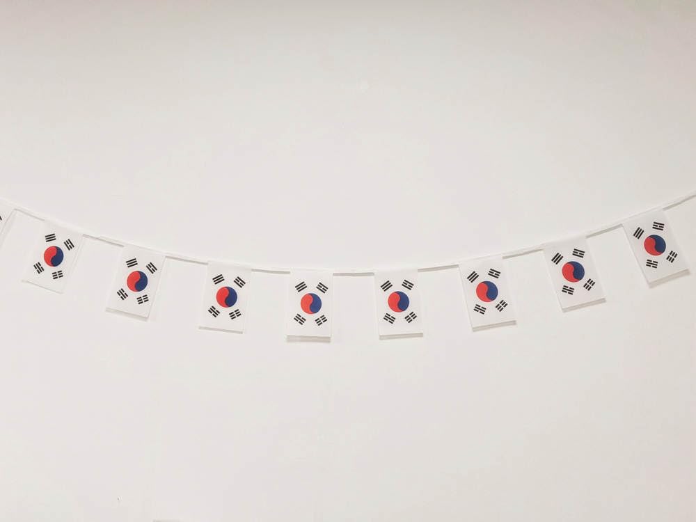 Korea Flag 40pcs Korea Flag Flag Korean Garland 11.4M Korean Pennants National Flag Flags South Korea 5.5x8.3 Inches (South Korea)