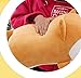 MathewArt Cute Shiba Inu Dog Throw Pillow Animal Pillows Plush Toy (Dog1, 12 Inch)