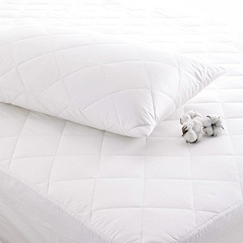 Cuddledown Cotton Pillow Protectors with Zip (2 Pack), Machine Washable, Anti-Allergy