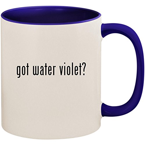 got water violet? - 11oz Ceramic Colored Inside and Handle C