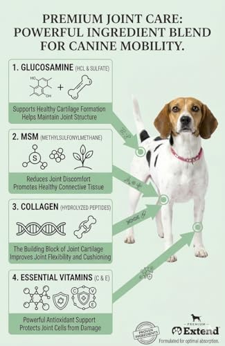 Extend Joint Care Natural Glucosamine with MSM for Dogs, 2 Box