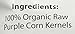 Certified Organic Purple Corn Kernels 16oz