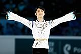 Image de フィギュアスケートMemorial グランプリシリーズ2017 in ロステレコム杯 単行本（ソフトカバー） – 2017/11/9