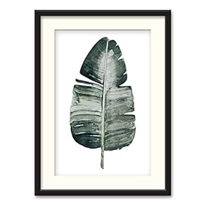 Black Framed Canvas Wall Art Nordic Style Plant Home Artwork Decoration for Living Room, Bedroom - 23x31 inches