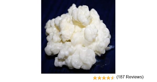40g de Hongo / Nódulos de Kéfir de Leche + Instrucciones + Recetas ...