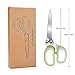 Herb Scissors, TOBOX Stainless Steel 5-Blade Multipurpose Kitchen Shear with Easy Cleaning Comb and Protective Cover (Herb Scissors)