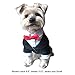 Alfie Pet - Oscar Formal Tuxedo with Black Tie and Red Bow Tie - Color: Black, Size: Medium
