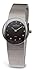 Skagen Women's 589SSSB Stainless Steel Mesh Watch