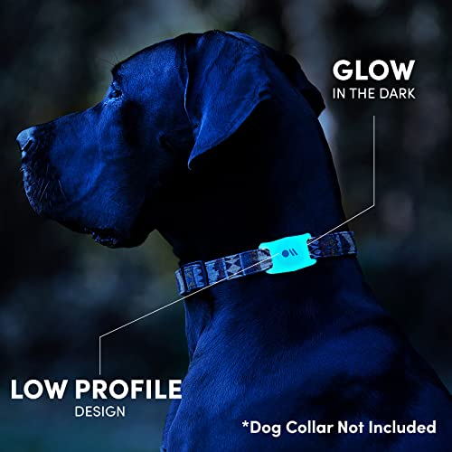 CaseMate Airtag Dog Collar Holder Water Resistant Airtag Holder Dog Tag Protective Airtag