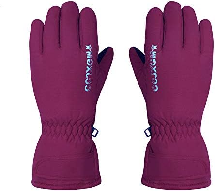 Liuxiaomiao Winter Skiing And Snowboarding Gloves - Waterproof And Snowproof Gloves Skiing, Snowboarding, Shovel - Nylon Casing, Insulation Suitable For Men And Women (Color : Roland purple)