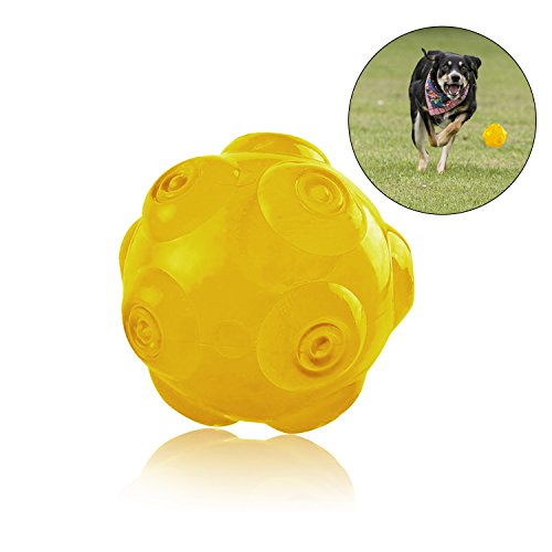 crazy bouncing ball for dogs
