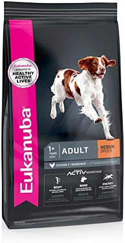 tug of war good for dogs