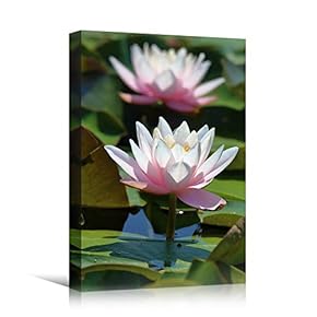 signwin Canvas Wall Art Water Lily Bohemian Colorful...