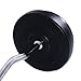 Giantex 52 LB Barbell Dumbbell Weight Set Gym Lifting Exercise Solid & Hollow Curl Bar